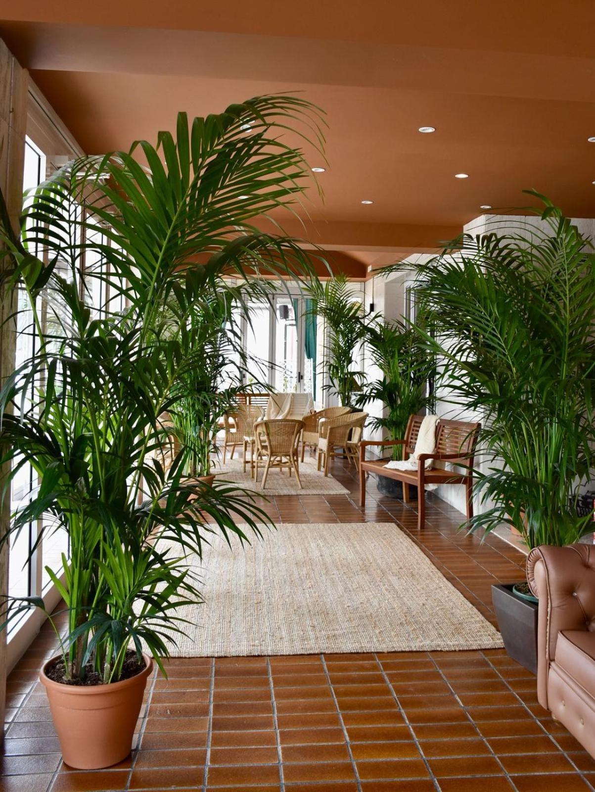 Hotel Portofino Lido di Jesolo Exterior photo